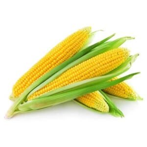 Corn