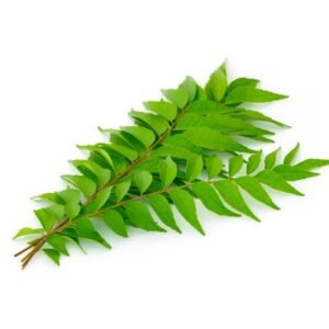 Curry Leaves